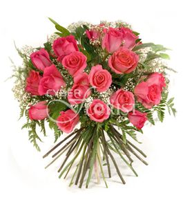 bouquet or pink roses and babys breath. Auckland